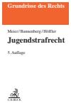 Bernd-Dieter Meier, Britta Bannenberg, Katrin Höffler - Jugendstrafrecht